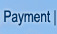 Payment