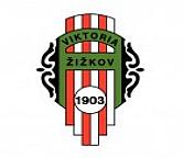 Czech Football Clubs and Tickets for Premier Games