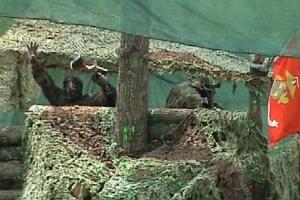 Paintball in Prague.  