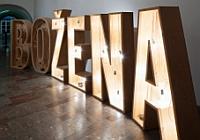 Art Exhibitions and Galleries in Prague