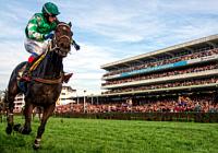 Horse Racing in Prague and Czech Republic 