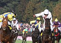 Horse Racing in Prague and Czech Republic 