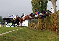 Horse Racing in Prague and Czech Republic 