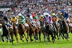 Horse Racing in Prague and Czech Republic.  