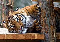 School Trips to Prague