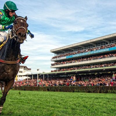 Horse Racing in Prague and Czech Republic