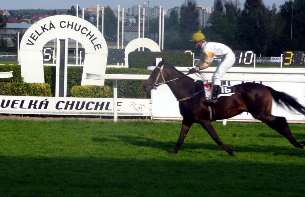 Horse Racing in Prague and Czech Republic